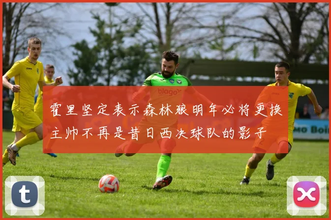 霍里坚定表示森林狼明年必将更换主帅不再是昔日西决球队的影子