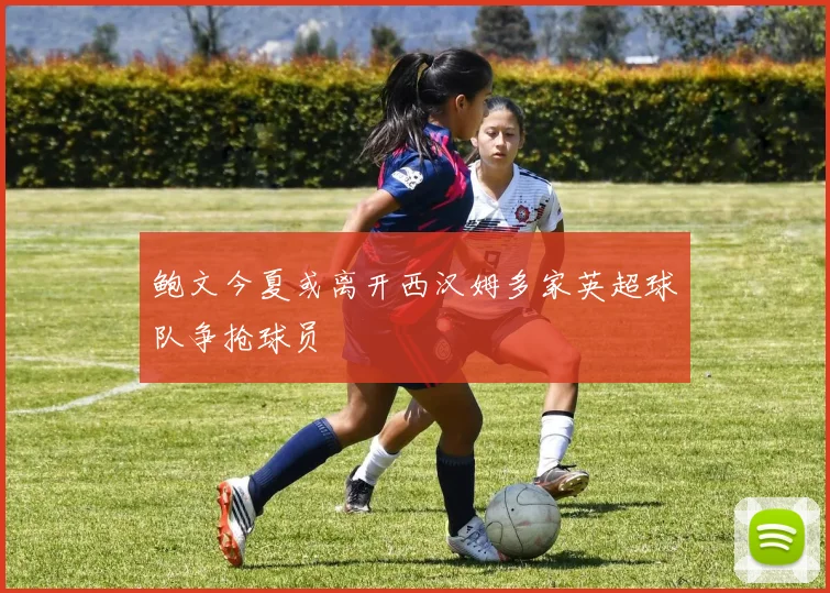 鲍文今夏或离开西汉姆多家英超球队争抢球员